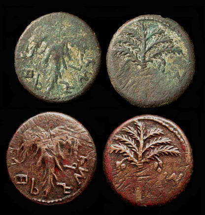 6-Pack of Mint State Restoration Ancient Bronze and Copper Coin & Artifact Cleaner